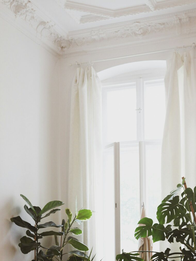 A bright room full of plants